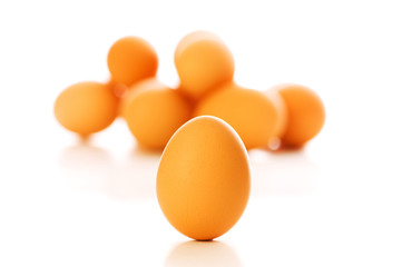 Brown egg on white - shallow depth of field