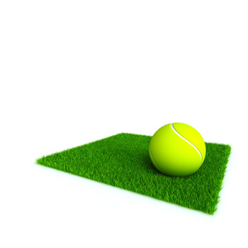 tennis ball on a lawn from a green bright grass
