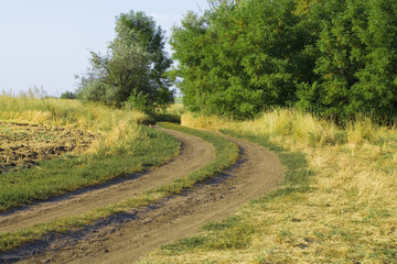Fototapeta na wymiar turn of country road in surroundings trees and grass