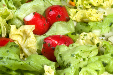 Grüner Salat mit Radieschen