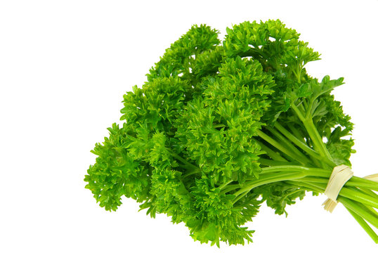Petersilie - parsley 16