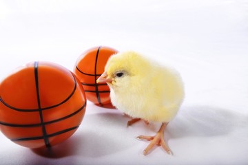 Chick with basketballs