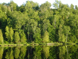 Fototapeta premium Waldsee