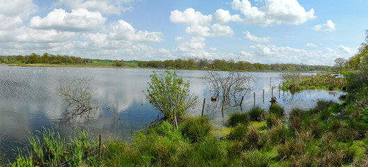 inondations au bord d´un lac