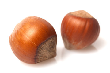 Hazelnut