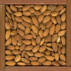 shelled almond nuts background