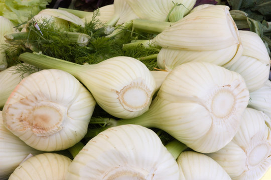 fennel