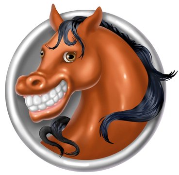 cavallo snile