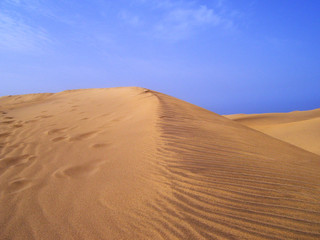 Fototapeta na wymiar Sand dune detail against blue sky and white clouds