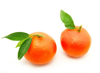 tangerine