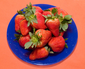 big fresh strawberry on the blue dish and orange background