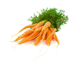 Bunch of Baby Carrots over white