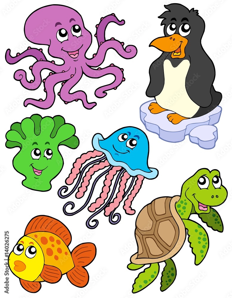 Poster aquatic animals collection 2