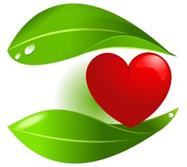 Vegetal food protecting heart