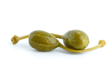 Macro shot of two capers fruits