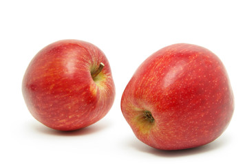 fresh apples