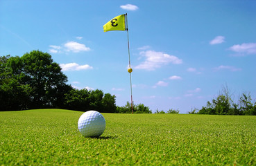 Obraz premium green de golf n3