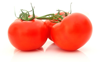 Tomaten