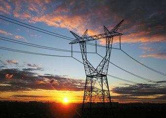 Electricity pylons - 14036820