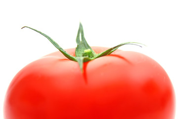Tomaten