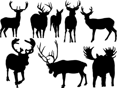 deer collection silhouettes