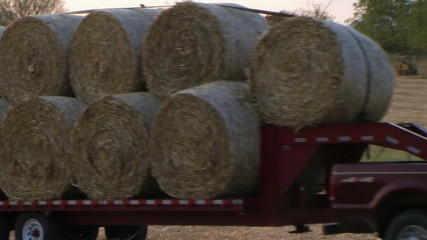 Trucks Hauling Hay Bales
