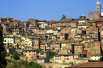 Fototapeta na wymiar Siena, panorama