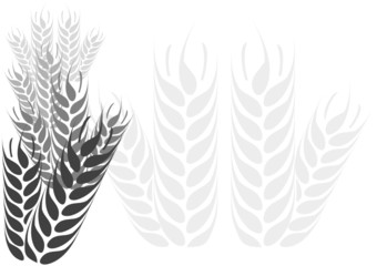 Hintergrund - Ähren