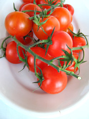 pomodori