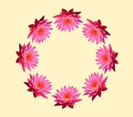 スイレンの丸　Y