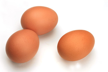 egg
