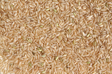 Bio-Naturreis verstreut