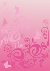 pink curled background with butterflies