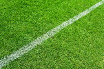 Soccer white lines