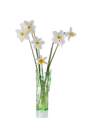 daffodils in green glassvase