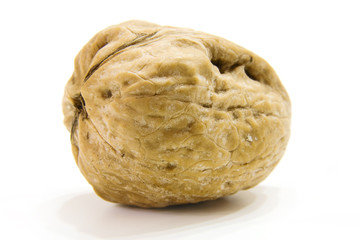 Fototapeta premium walnut