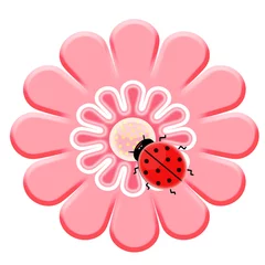Foto op Plexiglas Lieveheersbeestjes Lieveheersbeestje op de roze bloem