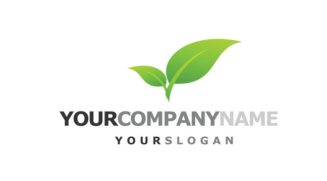 beauty logo