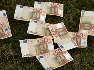 billets de banque dans l'herbe