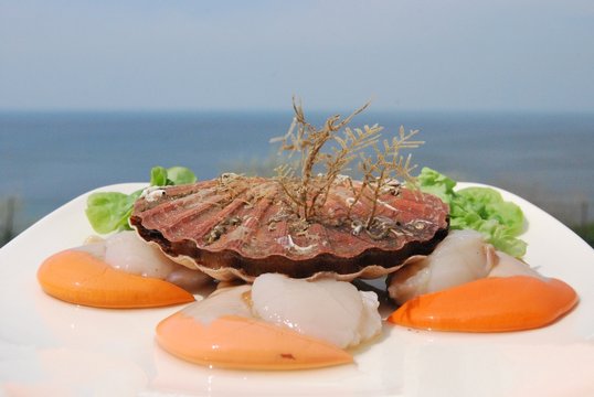 coquille saint-jacques