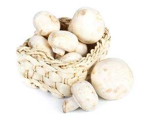 Fresh appetizing mushrooms