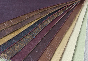 samples of natural leather