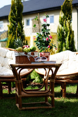 Fototapeta premium relax in garden