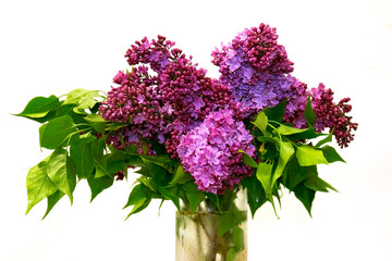 lilac bouquet over white