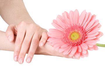 Beautiful female hands..