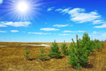 Obraz premium Spring