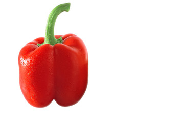 Wet red sweet pepper
