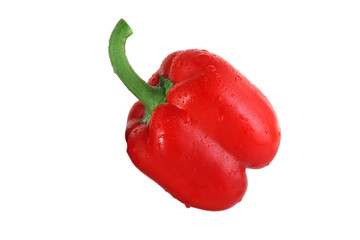 Wet red sweet pepper