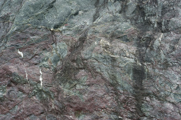 Hintergrund - Prasino