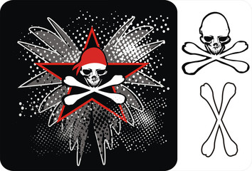 pirate skull © toshi8
